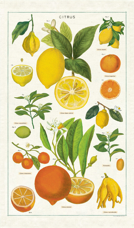Citrus Vintage Tea Towels